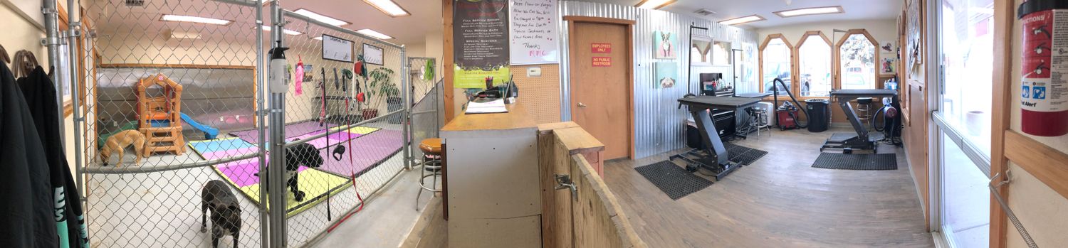Mission Mountain Pet Service Inc.: 11 7th Ave W, Polson, MT 59860